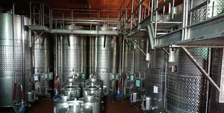 ワイナリー訪問