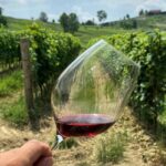 バローロワインのワイナリー