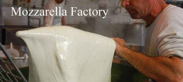 モッツァレッラチーズ